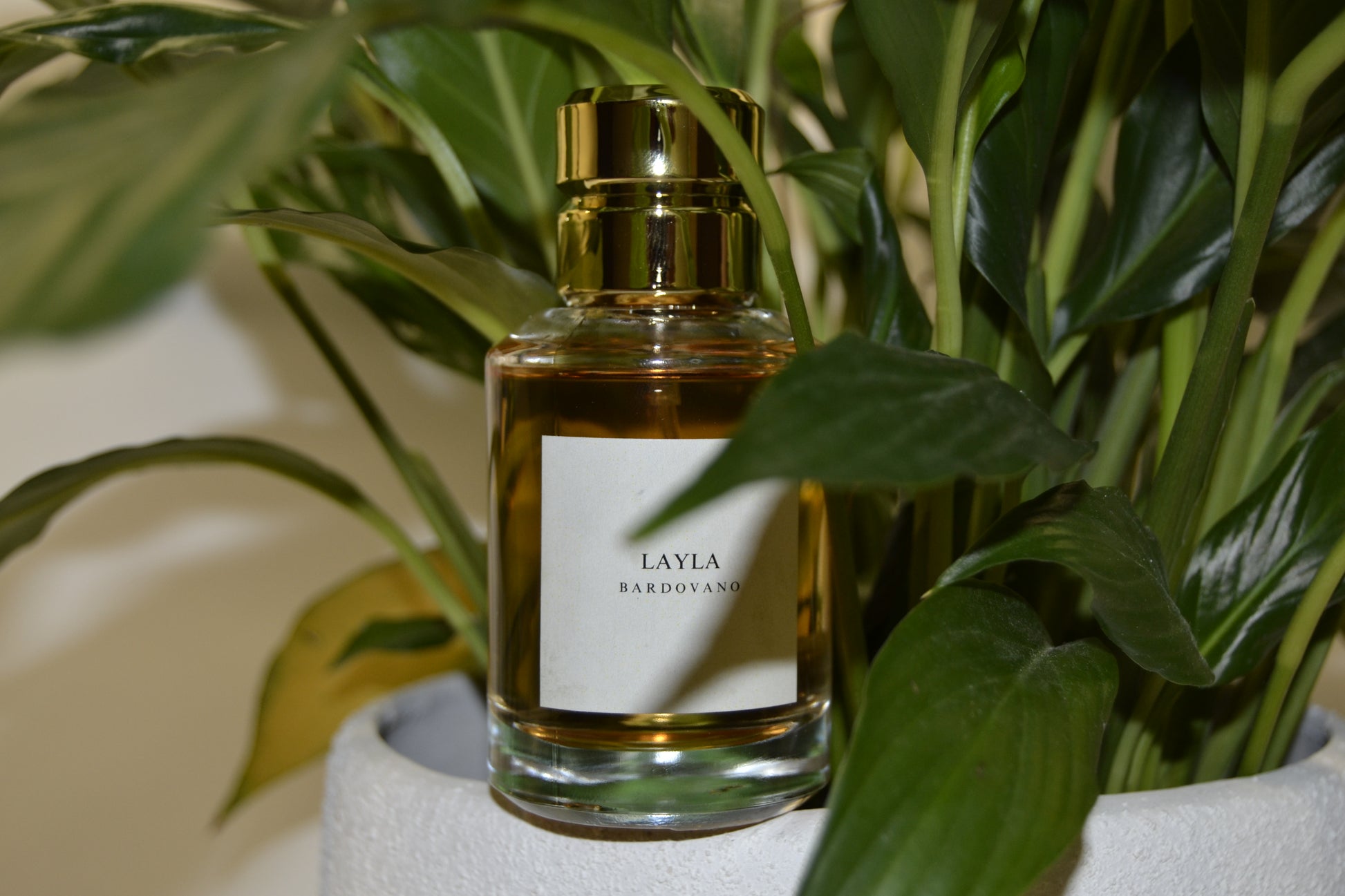 Perfume bottle labeled 'Layla' with green leaves in the background