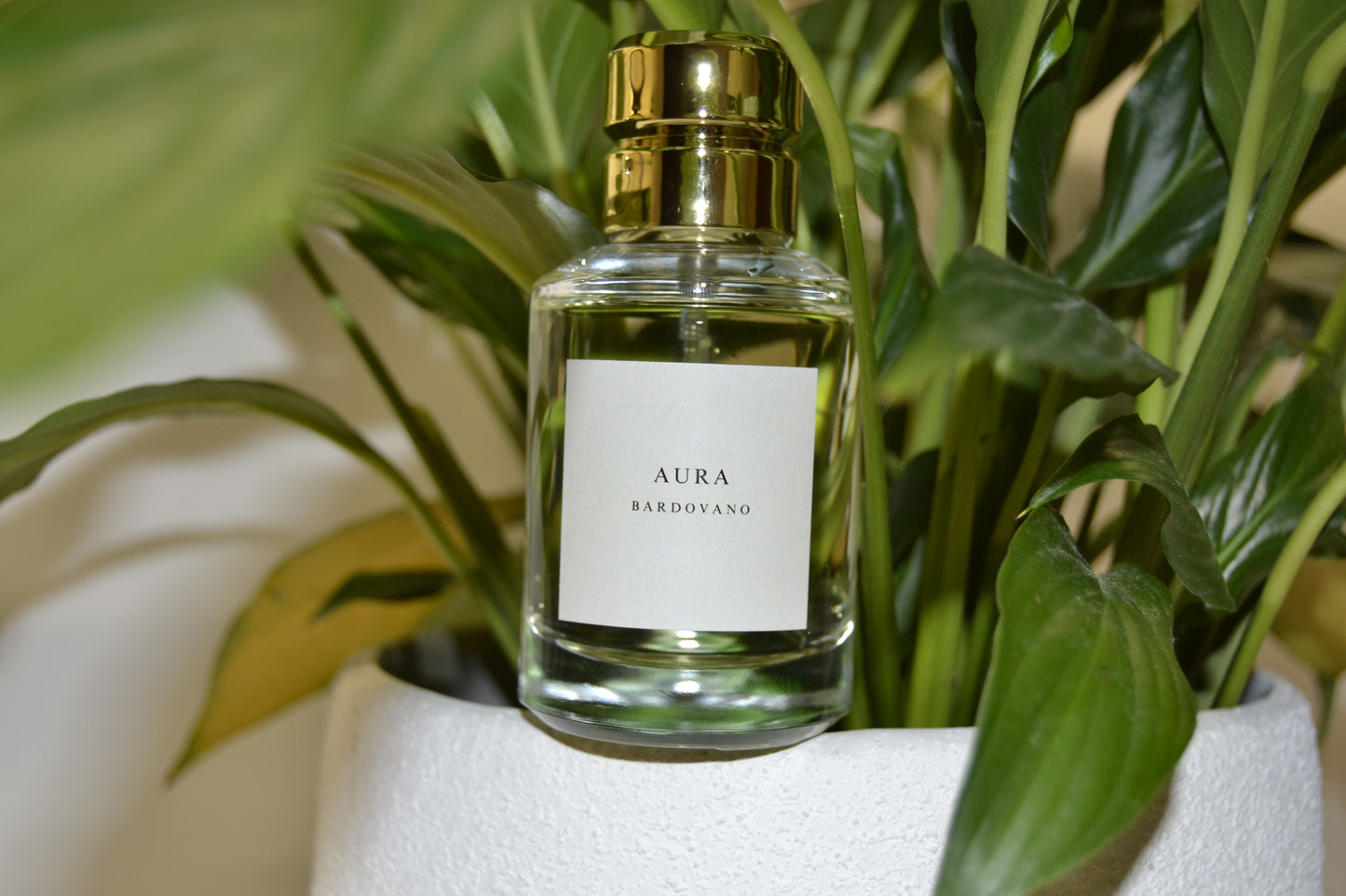 Perfume bottle labeled 'Aura' with a gold cap, placed among green plants.
