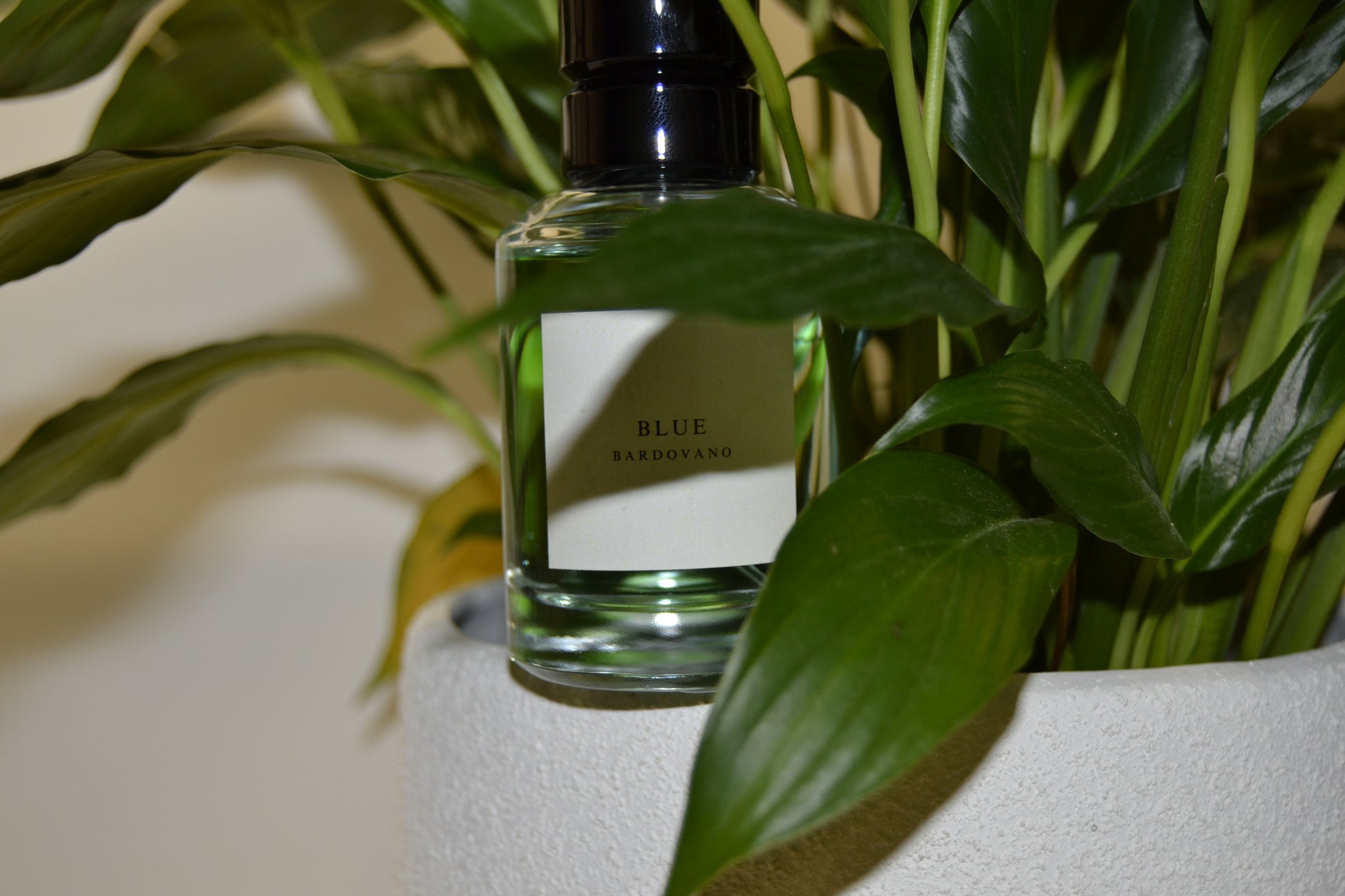 Glass bottle with a black cap on a white surface with green leaves in the background